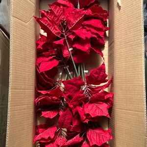 Balsam Hill Poinsettia 12 Set Picks Christmas Tree New